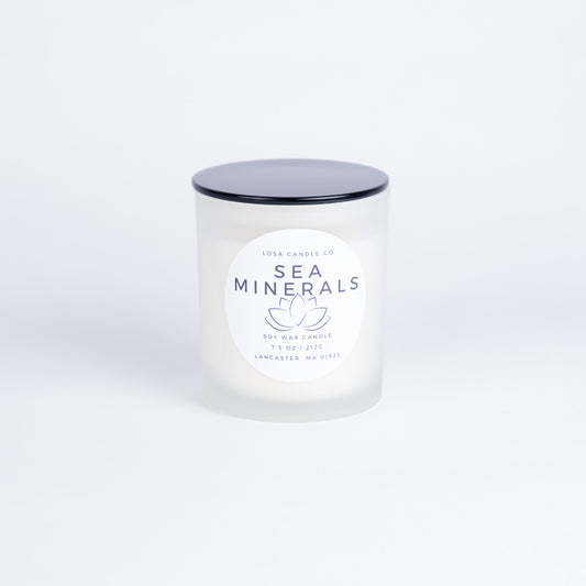 Sea Minerals 7.5oz Candle