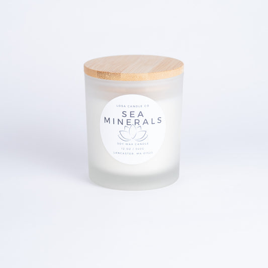 Sea Minerals 12oz Double Wick Candle